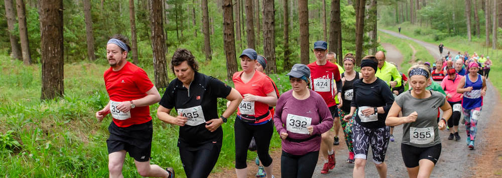 A group of runners ion a forest trail in Newborough Forest, Anglesey, North Wales.